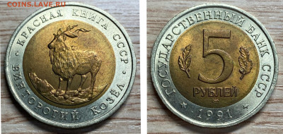 Кр. книга 5р 1991 Винторогий козёл до 20.01.26 - GridArt_20251212_194229555