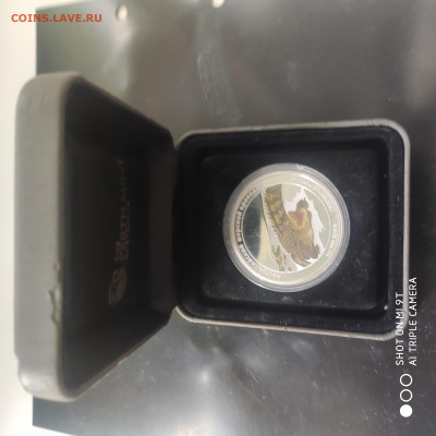 Тувалу 1 доллар, 2011 Австралийский крокодил -20.01 до 22.00 - 1757749532699