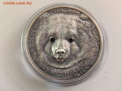 Монголия 500тугр 2019 Медведь Гоби, Ag999, до 21.01 - Ю Монголия Медведь бк-2
