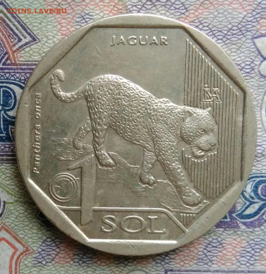 Перу 1 соль 2018 года до 19.01.2026 - IMG_20260114_171614