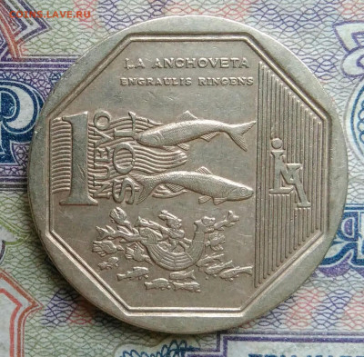 Перу 1 соль 2013 года до 19.01.2026 - IMG_20260114_171727