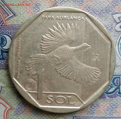 Перу 1 соль 2018 года до 19.01.2026 - IMG_20260114_171649
