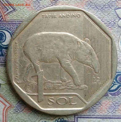 Перу 1 соль 2018 года до 19.01.2026 - IMG_20260114_171824
