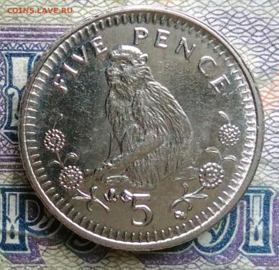 Гибралтар 5 пенсов 2003 года до 19.01.2026 - IMG_20260114_170402