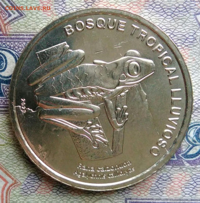 Коста-Рика 50 колон 2023 года лягушка до 19.01.2026 - IMG_20260114_171013