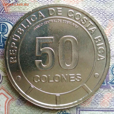 Коста-Рика 50 колон 2023 года лягушка до 19.01.2026 - IMG_20260114_171032
