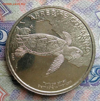 Коста-Рика 50 колон 2023 года черепаха до 19.01.2026 - IMG_20260114_171340