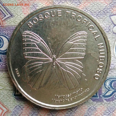 Коста-Рика 50 колон 2023 года бабочка до 19.01.2026 - IMG_20260114_170153