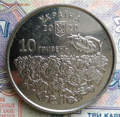 Украина 10 гривен 2020 года до 19.01.2026 - IMG_20260114_170856