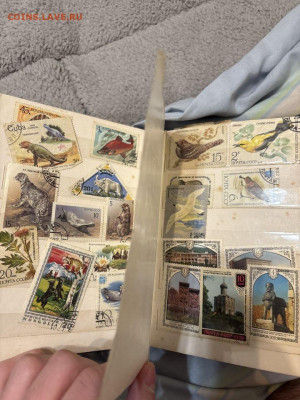 Альбом с марками на оценку - IMG_0545