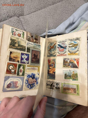 Альбом с марками на оценку - IMG_0546