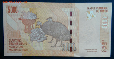 Конго 5000 франков 2022 года до 19.01.2026 - IMG_20260115_210940