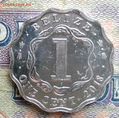 Белиз 1 цент 2018 года до 19.01.2026 - IMG_20260115_220324