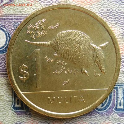 Уругвай 1 песо 2024 года до 19.01.2026 - IMG_20260115_220525