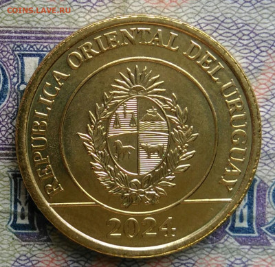 Уругвай 1 песо 2024 года до 19.01.2026 - IMG_20260115_220539
