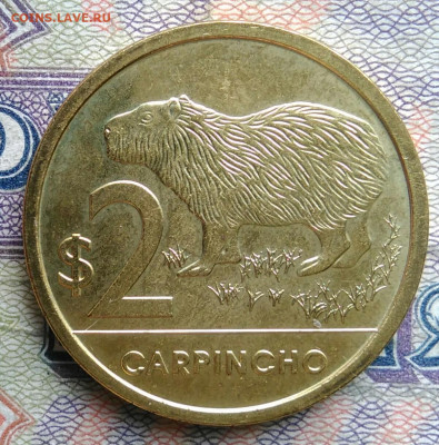 Уругвай 2 песо 2024 года до 19.01.2026 - IMG_20260115_220400