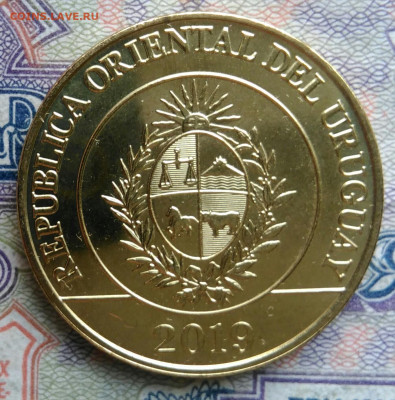Уругвай 5 песо 2019 года до 19.01.2026 - IMG_20260115_220441