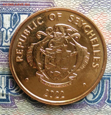 Сейшелы 1 цент 2022 года до 19.01.2026 - IMG_20260115_220014