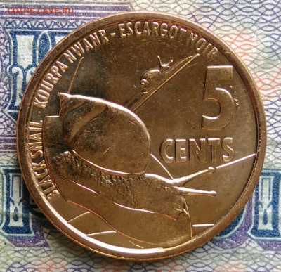 Сейшелы 5 центов 2022 года до 19.01.2026 - IMG_20260115_212144