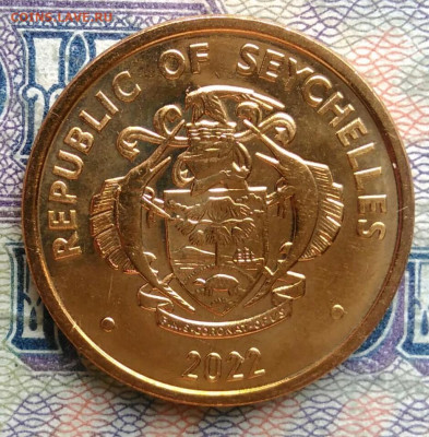 Сейшелы 5 центов 2022 года до 19.01.2026 - IMG_20260115_212159