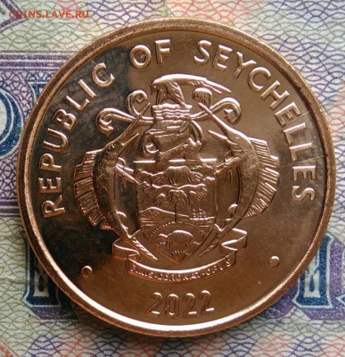 Сейшелы 10 центов 2022 года до 19.01.2026 - IMG_20260115_211940