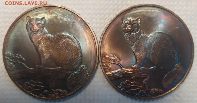 3 рубля 1995 год соболь 2 монеты. - IMG_20260116_114149