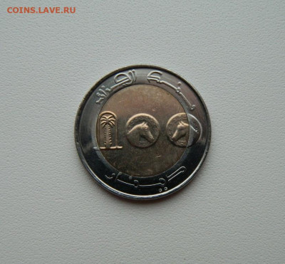 Алжир 100 динаров 2018 г. (Фауна) БИМ С рубля! до 22.01.26 - DSCN9947.JPG