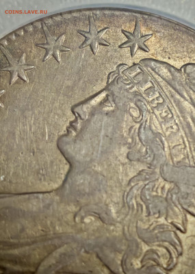 Монеты США. Вопросы и ответы - IMG_20260116_221049