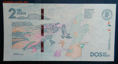 Колумбия 2000 песо 2022 года до 19.01.2026 - IMG_20260115_193603