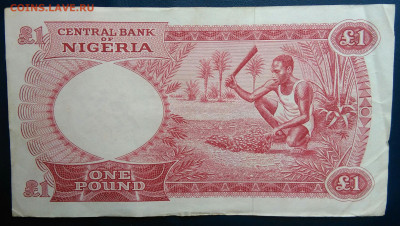 Нигерия 1 фунт 1967 года до 19.01.2026 - IMG_20260115_192719