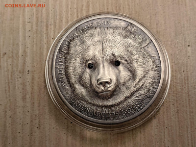 Монголия 500 тугриков 2019 Медведь Гоби, Ag999, до 23.01 - Ю Монголия Медведь-2
