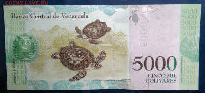 Венесуэла 5000 боливаров 2017 года до 19.01.2026 - IMG_20260115_192214