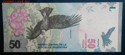 Аргентина 50 песо 2018 года до 19.01.2026 - IMG_20260115_192029