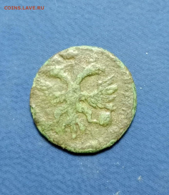 ВРП Полушка 172?г до 19.01.2026г - photo_2026-01-17_10-40-11