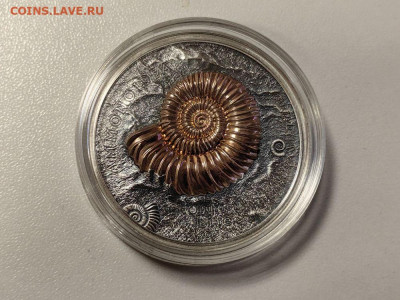 Монголия 500туг 2015 Эволюция жизни Аммонит Ag999, до 23.01 - Ю Эволюция 2015 Аммонит-2