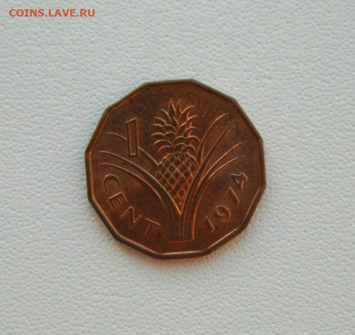 Свазиленд 1 цент 1974 г. С рубля! до 22.01.26 - DSCN0582.JPG