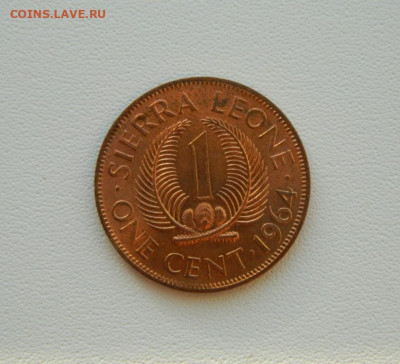 Сьерра-Леоне 1 цент 1964 г. С рубля! до 22.01.26 - DSCN0618.JPG