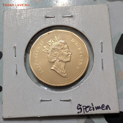 Монеты мира ФИКС до 18.01 - PXL_20260113_183510894~2