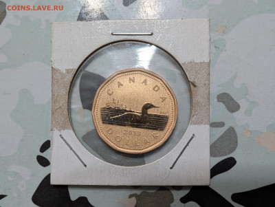 Монеты мира ФИКС до 18.01 - PXL_20260113_183306944