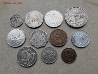 Монеты мира ФИКС до 18.01 - PXL_20260111_094025529~2