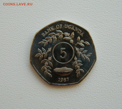 Уганда 5 шиллингов 1987 г. С рубля! до 21.01.26 - DSCN0675.JPG