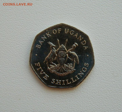 Уганда 5 шиллингов 1987 г. С рубля! до 21.01.26 - DSCN0676.JPG