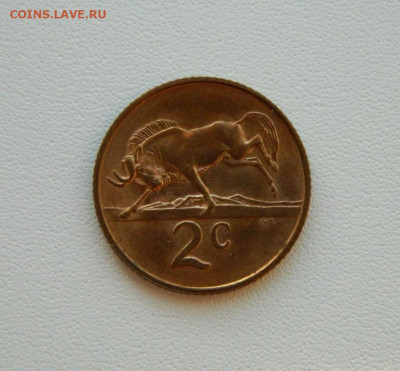 Южная Африка 2 цента 1989 г. (Фауна) С рубля! до 21.01.26 - DSCN0649.JPG