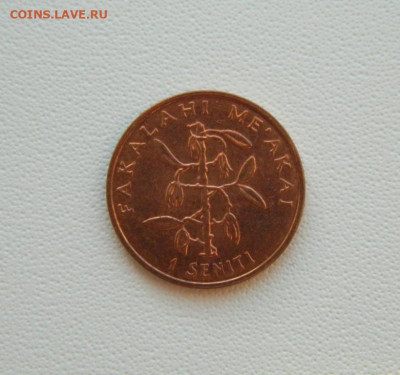 Острова Тонга 1 сенити 2005 г. С рубля! до 21.01.26 - DSCN0653.JPG