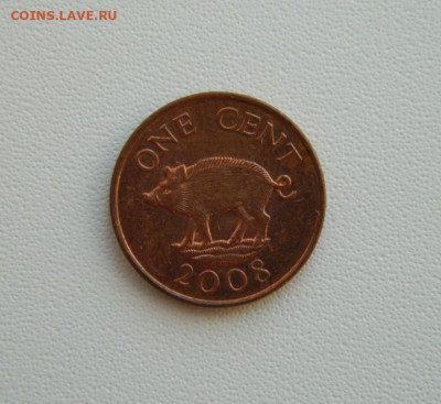 Бермудские острова 1 цент 2008 г.(Фауна)С рубля! до 21.01.26 - DSCN0682.JPG