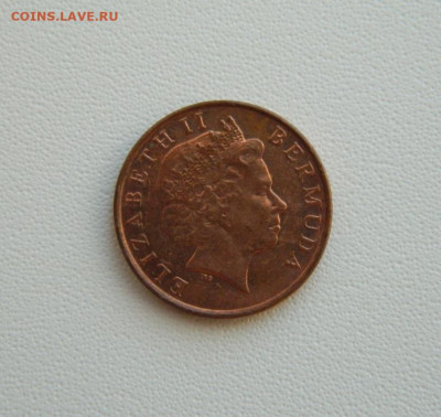 Бермудские острова 1 цент 2008 г.(Фауна)С рубля! до 21.01.26 - DSCN0683.JPG