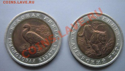 10 руб 1992 г Краснозобая казарка и Амурский тигр 1.3 в 21-0 - IMG_5243