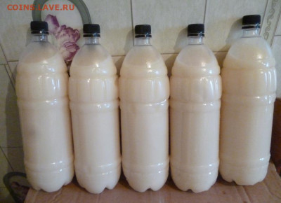 БАРСУЧИЙ ЖИР ОТ ОХОТНИКА,2025Г - 1 —.JPG