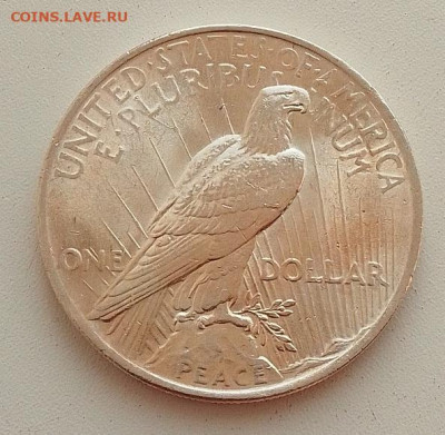 США, 1 доллар 1923 до 22.01.26 в 22.00. - IMG_20260118_134842