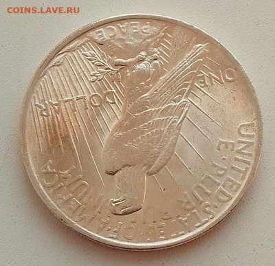 США, 1 доллар 1923 до 22.01.26 в 22.00. - IMG_20260118_134829